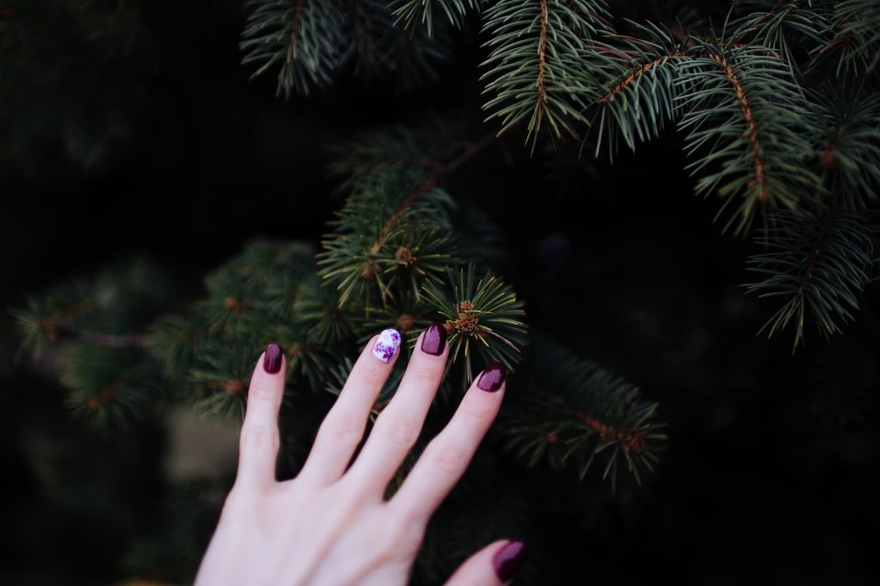 holiday nails