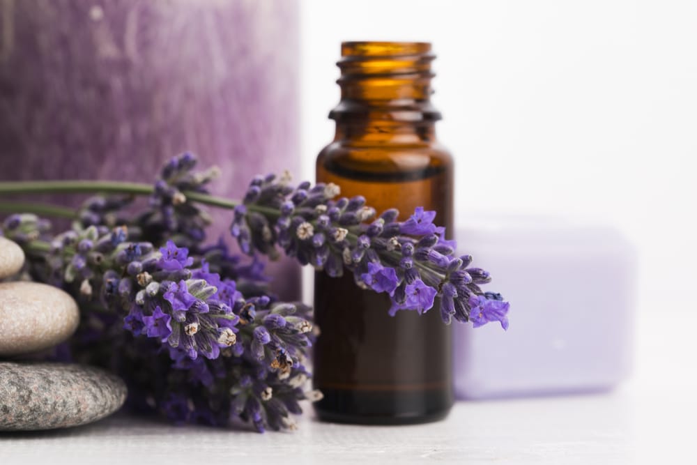 Oil bottle with Lavender plant