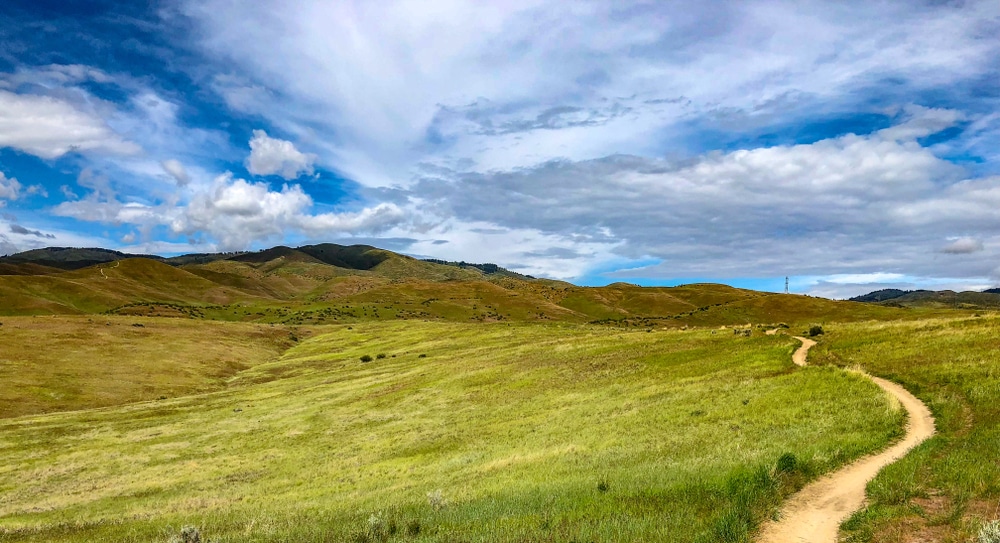 boise landscape