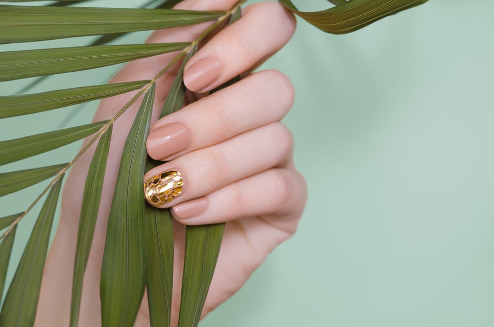 woman with painted nails holding a plant