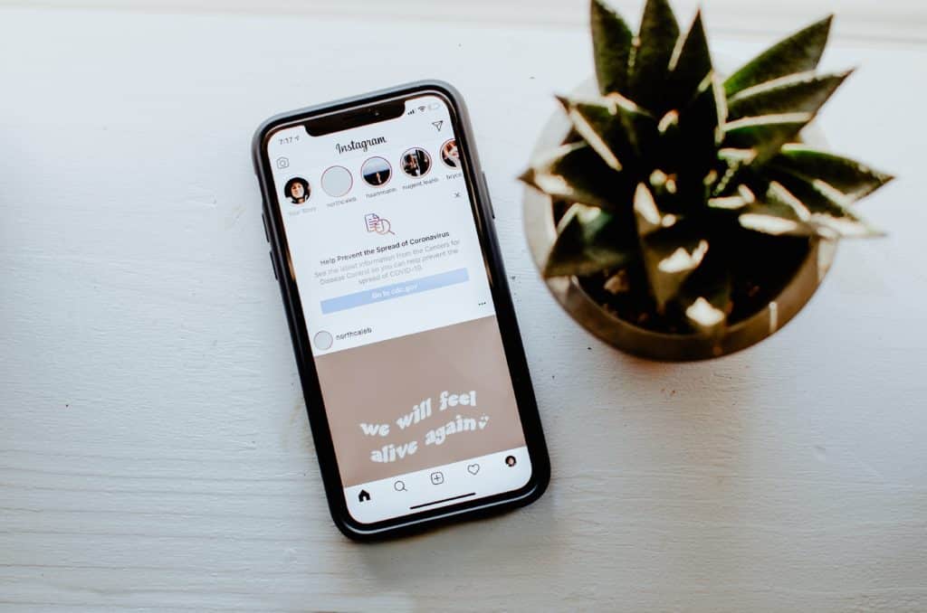 instagram open on a phone sitting on a table next to a plant